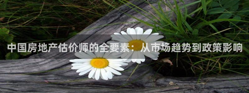 新宝5官方：中国房地产估价师的全要素：从市场趋势到政策影响