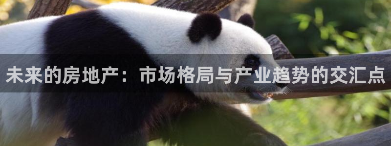 新宝5登录霸：未来的房地产：市场格局与产业趋势的交汇点