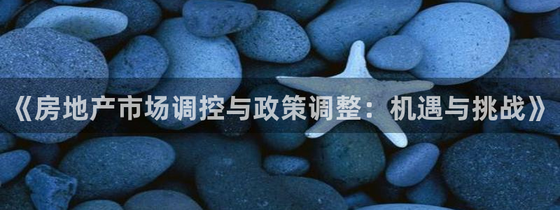 新宝5注册链接：《房地产市场调控与政策调整：机遇与挑战》