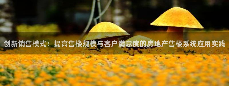 新宝5X：创新销售模式：提高售楼规模与客户满意度的房地产售楼