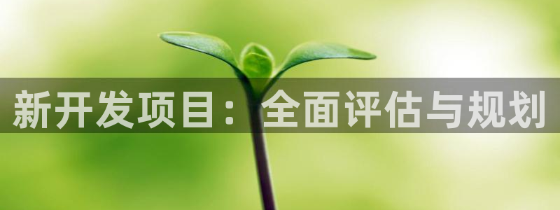新宝5吴74OOO5：新开发项目：全面评估与规划