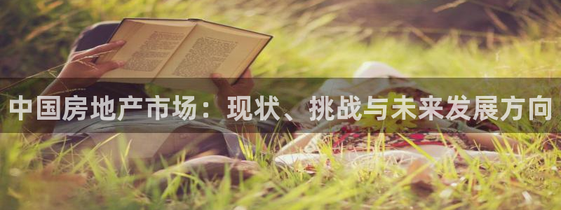 新宝5挂机：中国房地产市场：现状、挑战与未来发展方向