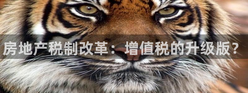 新宝5娱乐没：房地产税制改革：增值税的升级版？