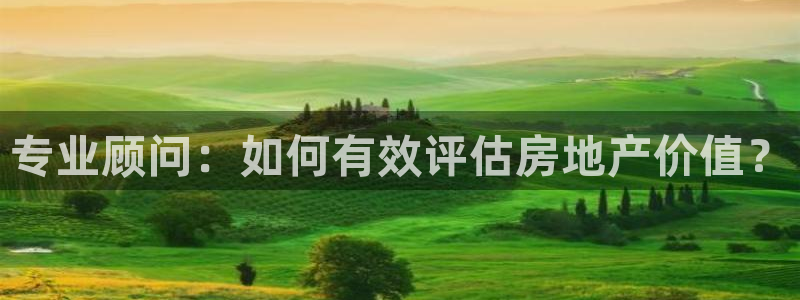 新宝5源码：专业顾问：如何有效评估房地产价值？