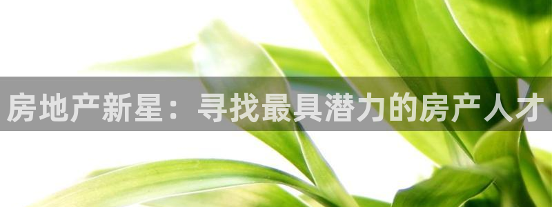 新宝5如何注册登录：房地产新星：寻找最具潜力的房产人才