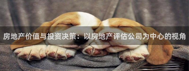 新宝5手机平台登陆：房地产价值与投资决策：以房地产评估公司为