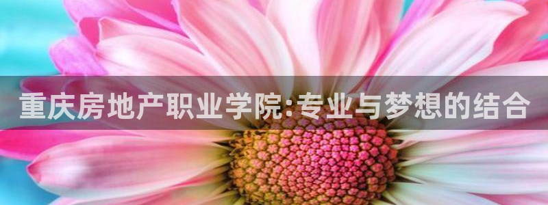 新宝5 测速：重庆房地产职业学院:专业与梦想的结合