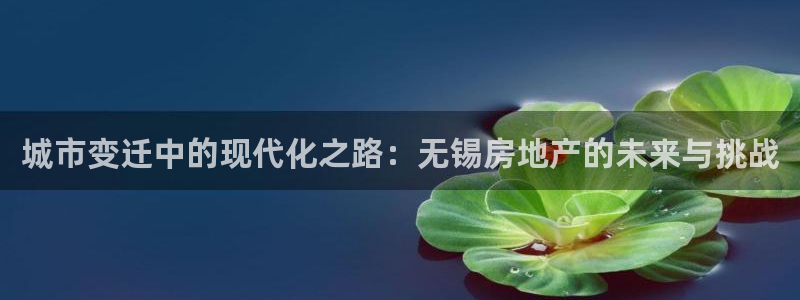 新宝5平台注册：城市变迁中的现代化之路：无锡房地产的未来与挑