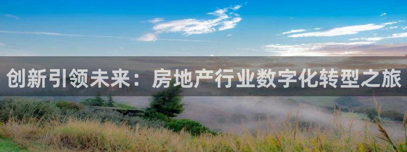 新宝5线路：创新引领未来：房地产行业数字化转型之旅