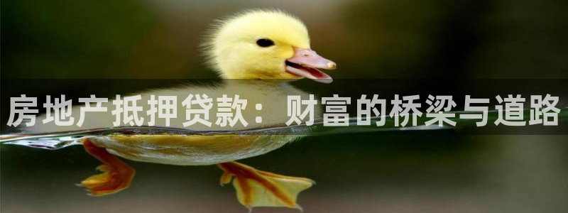 新宝5电脑登录网址：房地产抵押贷款：财富的桥梁与道路