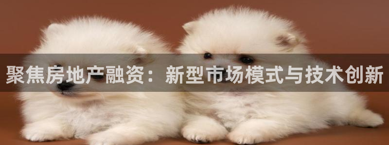 新宝5登录界面：聚焦房地产融资：新型市场模式与技术创新