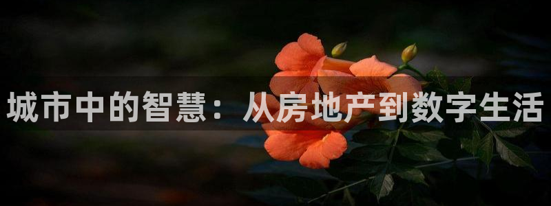 新宝5官网67五壹叁八：城市中的智慧：从房地产到数字生活