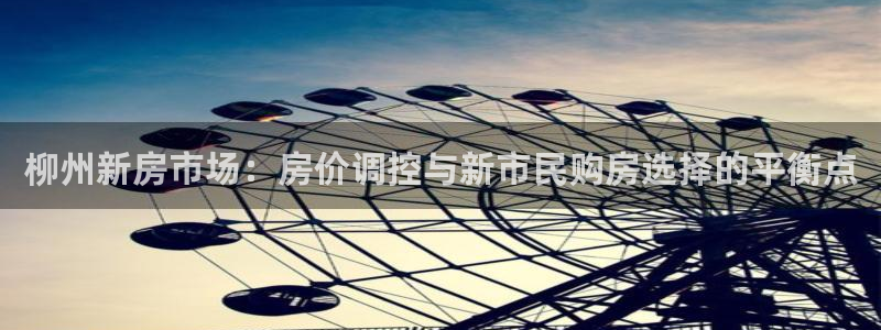 新宝那2O5O5O：柳州新房市场：房价调控与新市民购房选择的