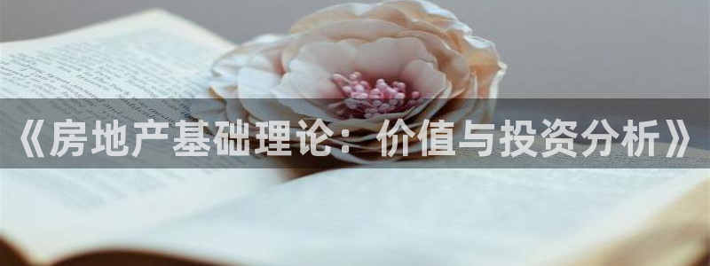 新宝rm5：《房地产基础理论：价值与投资分析》