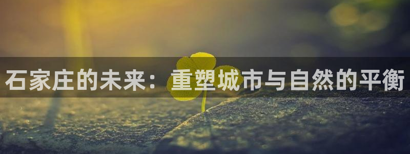 新宝股东王听2 5 5：石家庄的未来：重塑城市与自然的平衡