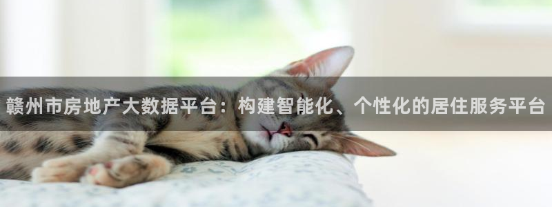 新宝5测速在线：赣州市房地产大数据平台：构建智能化、个性化的