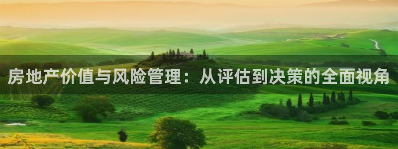 新宝5登录注册：房地产价值与风险管理：从评估到决策的全面视角