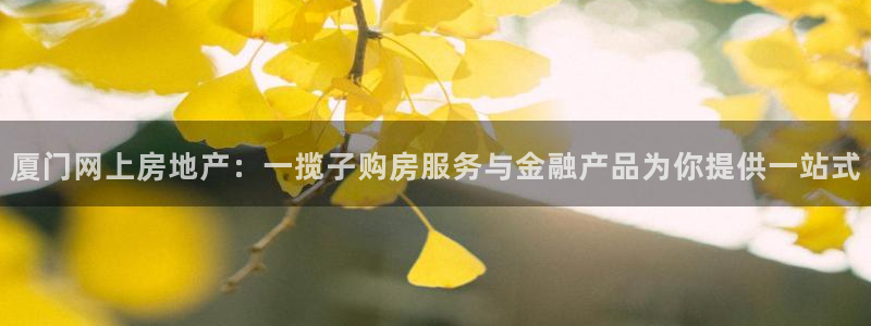 新宝5测速下载：厦门网上房地产：一揽子购房服务与金融产品为你