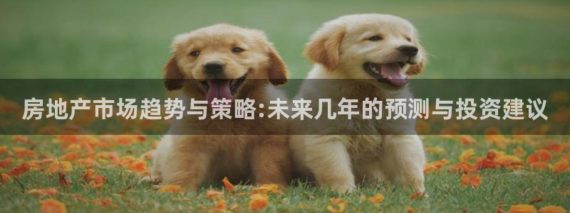 新宝骏rc5W：房地产市场趋势与策略:未来几年的预测与投资建