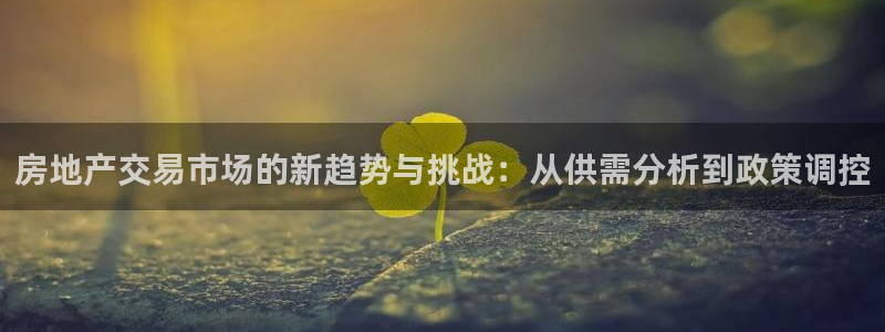 新宝5登录：房地产交易市场的新趋势与挑战：从供需分析到政策调