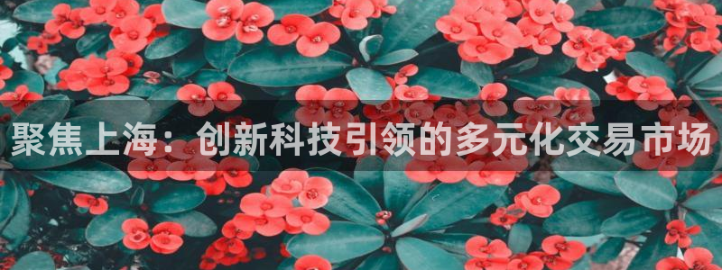 新宝5招商部：聚焦上海：创新科技引领的多元化交易市场