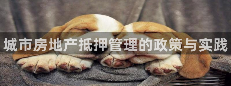 p5r新宝魔：城市房地产抵押管理的政策与实践