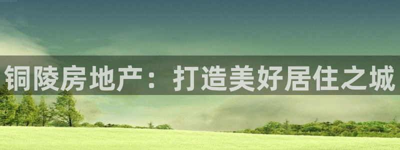新宝b2O5O5O：铜陵房地产：打造美好居住之城