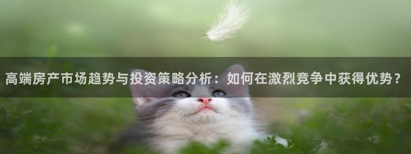 新宝娱乐5：高端房产市场趋势与投资策略分析：如何在激烈竞争中