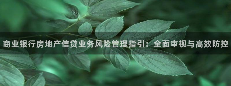 新宝5挂机：商业银行房地产信贷业务风险管理指引：全面审视与高