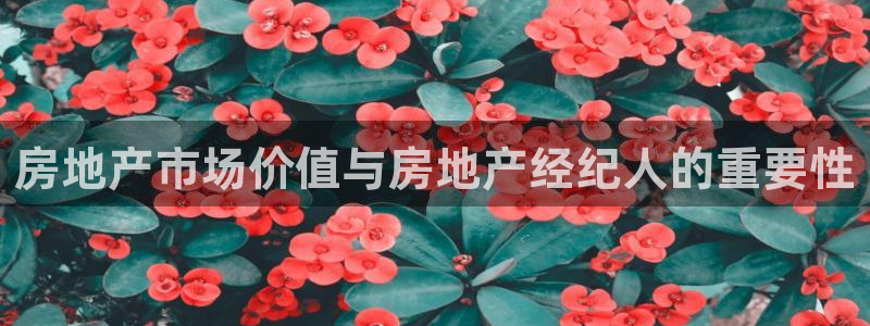 新宝5源码：房地产市场价值与房地产经纪人的重要性