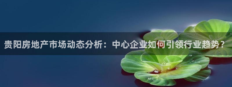 新宝5开好：贵阳房地产市场动态分析：中心企业如何引领行业趋势