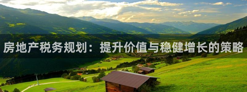 新宝5平台霸：房地产税务规划：提升价值与稳健增长的策略