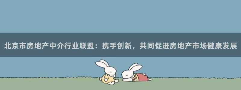 新宝5挂机：北京市房地产中介行业联盟：携手创新，共同促进房地