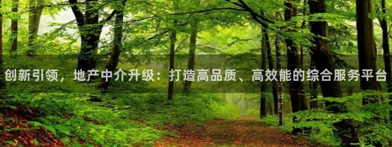 新宝5客户端登录：创新引领，地产中介升级：打造高品质、高效能