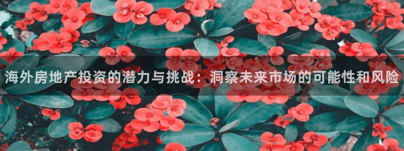新宝5娱乐登录：海外房地产投资的潜力与挑战：洞察未来市场的可