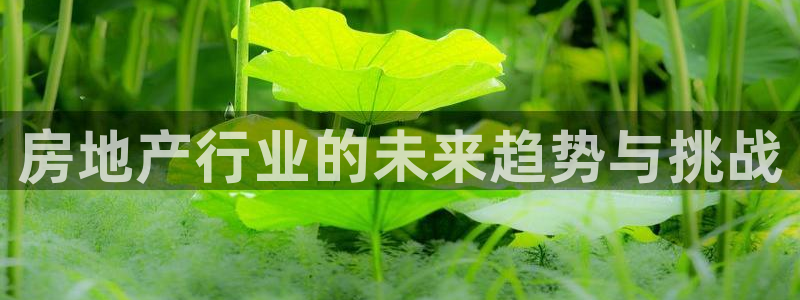 新宝5网址：房地产行业的未来趋势与挑战