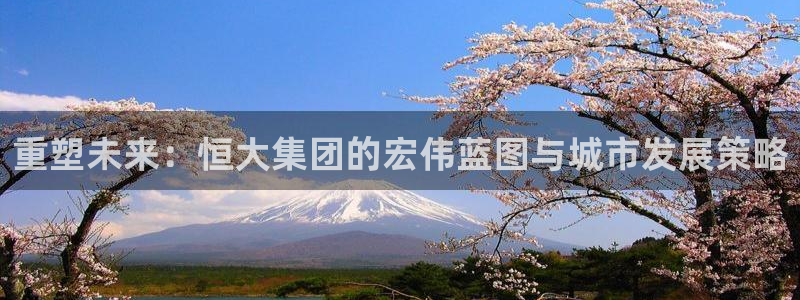 新宝5是什么：重塑未来：恒大集团的宏伟蓝图与城市发展策略