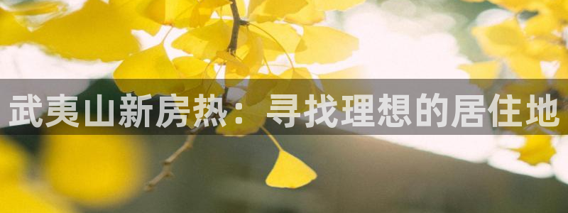 新宝5平台注册资金：武夷山新房热：寻找理想的居住地