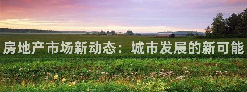 新宝5平台登录：房地产市场新动态：城市发展的新可能