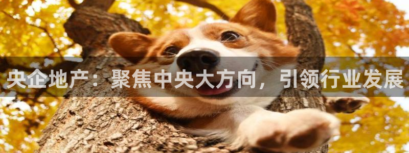 新宝5挂机软件：央企地产：聚焦中央大方向，引领行业发展
