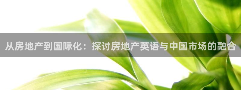 新宝cR一5：从房地产到国际化：探讨房地产英语与中国市场的融