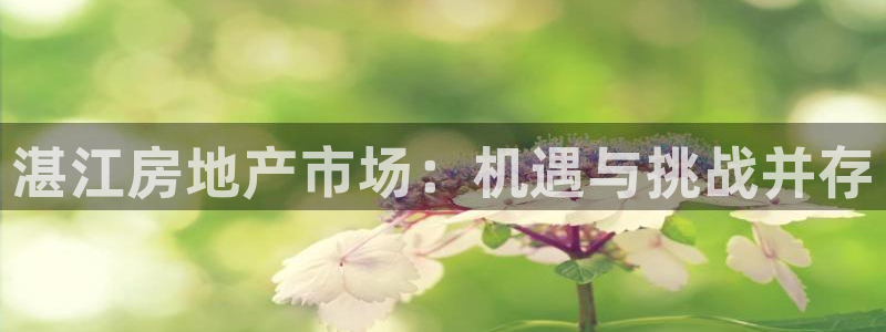 新宝5娱乐家：湛江房地产市场：机遇与挑战并存