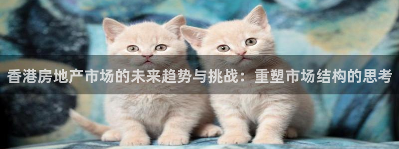 新宝5秒开：香港房地产市场的未来趋势与挑战：重塑市场结构的思