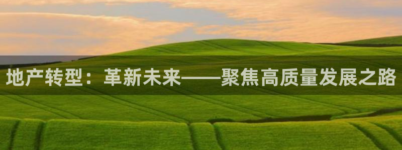 新宝5官网app