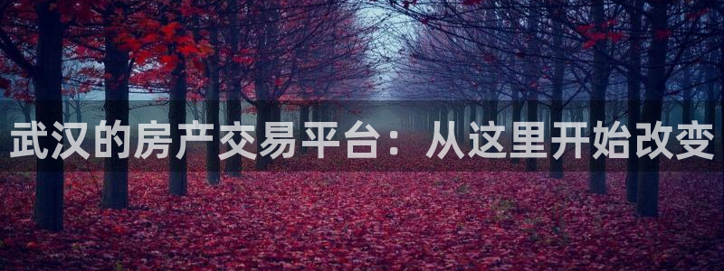 新5宝：武汉的房产交易平台：从这里开始改变
