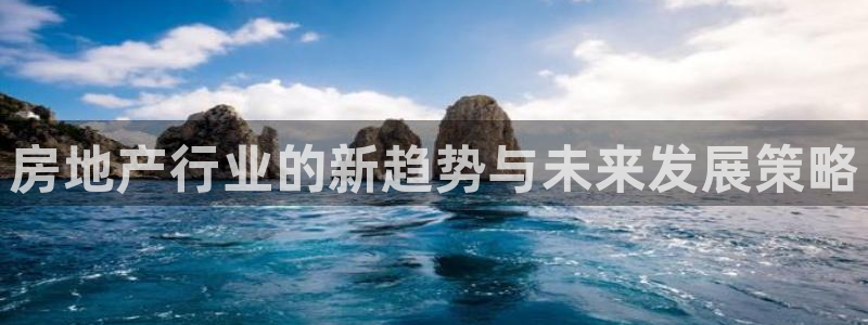 新宝5入口：房地产行业的新趋势与未来发展策略