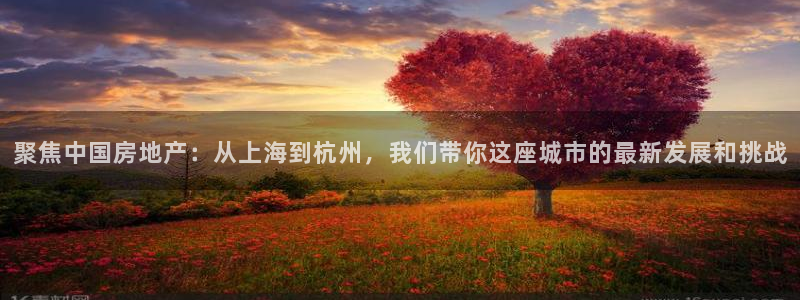 新宝5_测：聚焦中国房地产：从上海到杭州，我们带你这座城市的