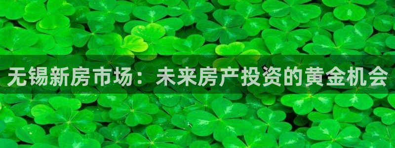 新宝5褚32OO59：无锡新房市场：未来房产投资的黄金机会