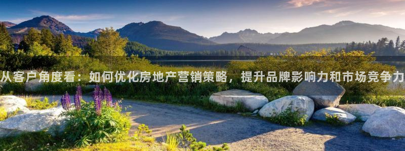 新宝5测速平台登录：从客户角度看：如何优化房地产营销策略，提