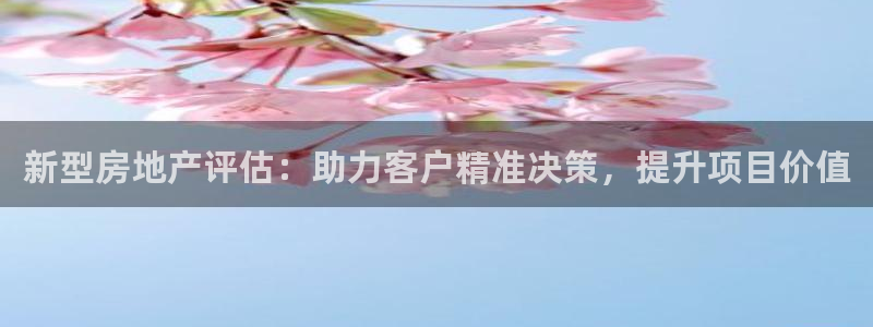 新宝5内部：新型房地产评估：助力客户精准决策，提升项目价值